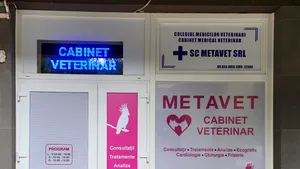 Povestea METAVET incepe cu o dorinta de a face bine animalelor... 