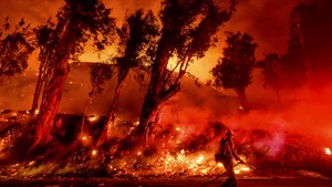 Criza care trece neobservată: 11.000 de cercetători avertizează că omenirea va fi lovită de o „suferinţă de nedescris”