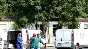 Cazul copilului omorât de câini în Capitală: Ce spune femeia care avea în grijă unul dintre câinii ucigaşi