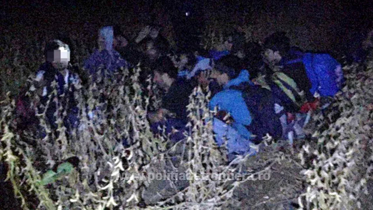 Doi cetăţeni sârbi arestaţi pentru că au ajutat un grup de migranţi să intre ilegal în România - VIDEO