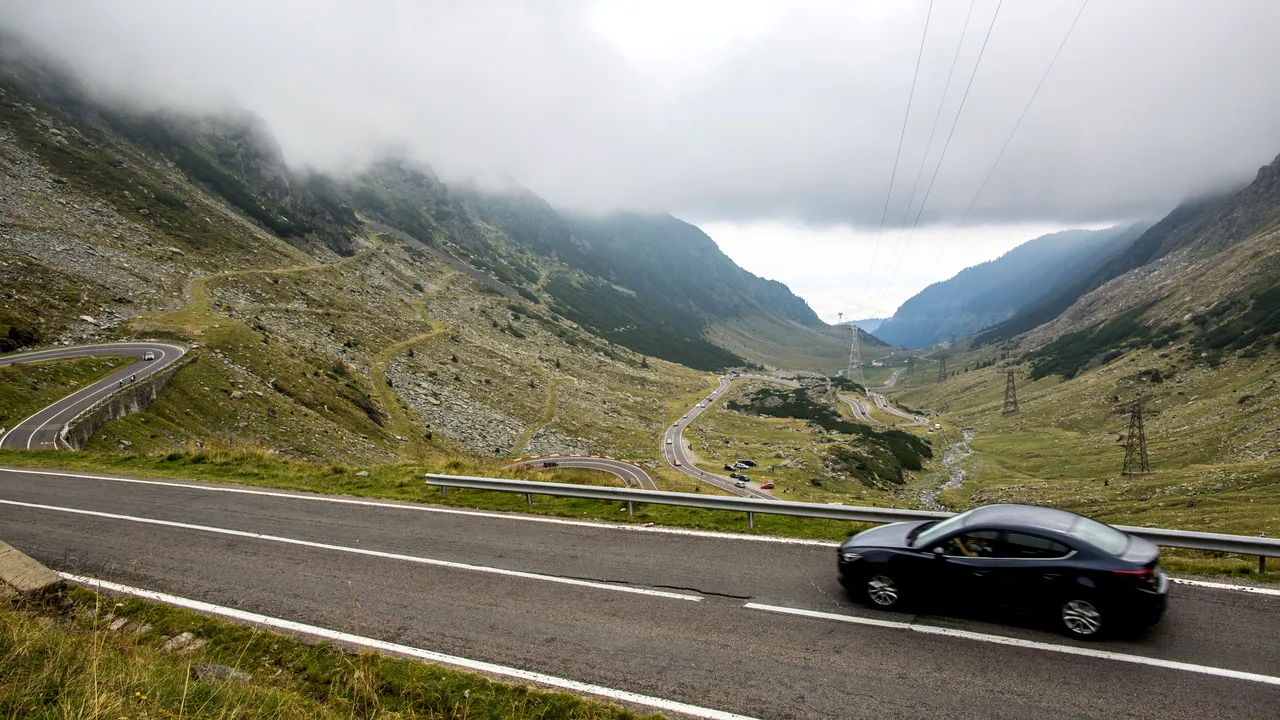 Panouri de avertizare, pe Transăgărăşan, pentru turiştii care hrănesc urşii