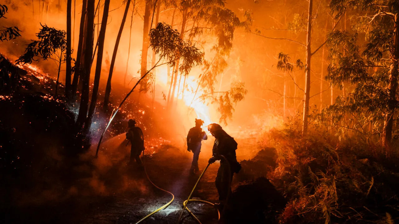 Spania: Incendiile de vegetație au ars aproximativ 50.000 de hectare de teren în ultimul an