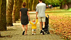 Cel mai lung arbore genealogic cunoscut are 80 de generații și se întinde pe 3.000 de ani