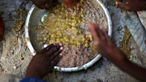 Foametea mondială ar putea deveni istorie