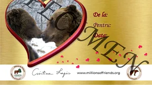 Cadoul inedit de Sfântul Valentin: „Un URS adevărat!”. Ce le-a pregătit sanctuarul de la Zărneşti iubitorilor de animale