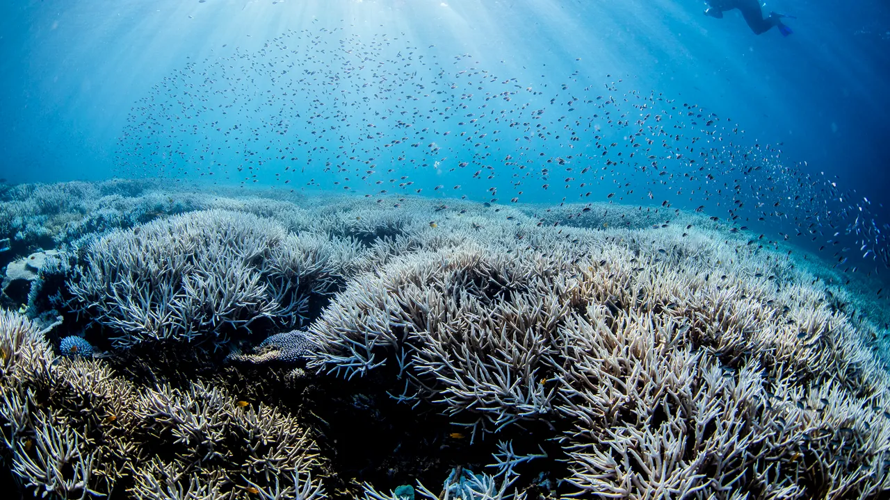 Anomalie radioactivă descoperită pe fundul Oceanului Pacific
