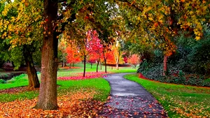 VREMEA se menţine caldă. PROGNOZA METEO pentru miercuri şi joi, în ţară şi în Capitală