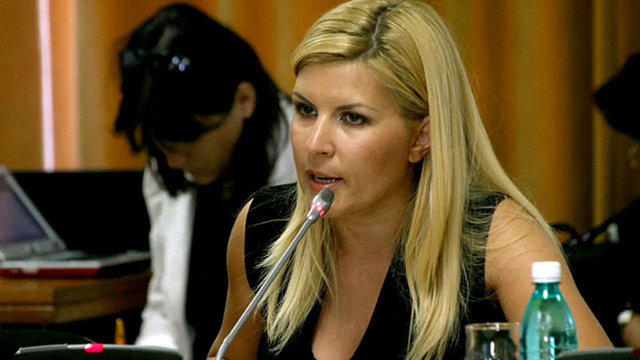 Udrea: Vin tot felul de pile să angajezi persoane, aşa se fac angajările la stat