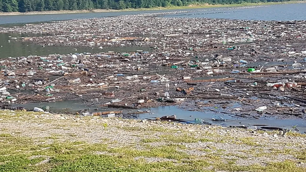 Microplasticele din sânge: s-a făcut primul test al unui studiu despre cum şi cât ajung în corpul uman