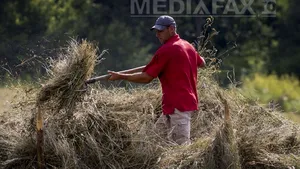 Un artist italian va căuta un ac într-un car cu fân, într-un muzeu parizian