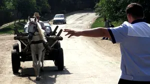 Căruţaş urmărit de jandarmi, după ce le-a făcut semne obscene