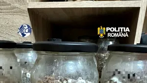 Percheziții la un „Amazon Weekend” în Hunedoara. DIICOT a găsit droguri de mare risc pregătite pentru participanții la ritualuri