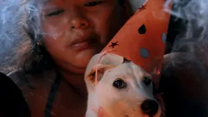 Animalele de companie primesc mai multe cadouri de Crăciun decât partenerul de viaţă sau soacra