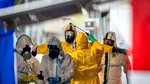 Ultimul continent ferit de gripa aviară H5 se confruntă cu primele decese în masă ale animalelor sălbatice