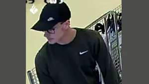 Poliţia olandeză publică imaginea primului suspect oficial în furtul tezaurului dacic de la Muzeul Drents