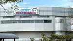 Cozi la Delfinariul din Mamaia în minivacanța de 1 Mai. Cât plătesc turiștii pentru un bilet