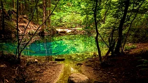 Ochiul Beiului, lacul HIPNOTIZANT care nu ÎNGHEAŢĂ niciodată. O atracţie necunoscută din Cheile Nerei