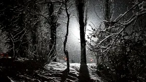 Cum A SUPRAVIEŢUIT un bărbat DOUĂ LUNI în maşina sa îngropată în zăpadă