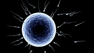 De ce este necesar sexul? Cercetătorii au aflat răspunsul