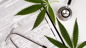 Legalizarea canabisului în România. Controversatul proiect de lege a ajuns în Camera Deputaţilor 