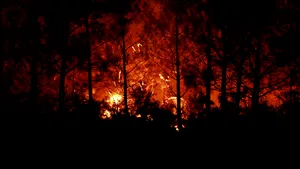Franța. Incendiul din Gironde este sub control și nu mai avansează, anunță ministrul de Interne