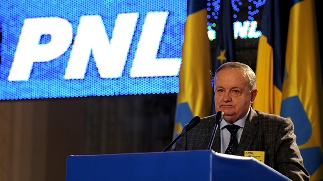Ţopescu: A vota o echipă cu un căpitan de echipă este democratic şi eficient