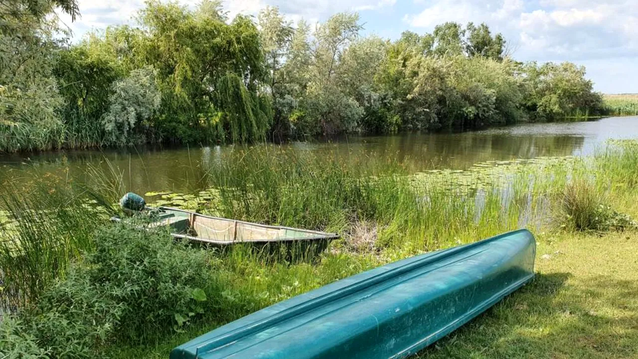 Proiect de lege: impozite la jumătate pentru locuitorii din Apuseni și Delta Dunării