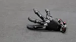 Mâna din „Familia Addams” a devenit realitate. Robotul care merge singur, apasă taste și mută obiecte