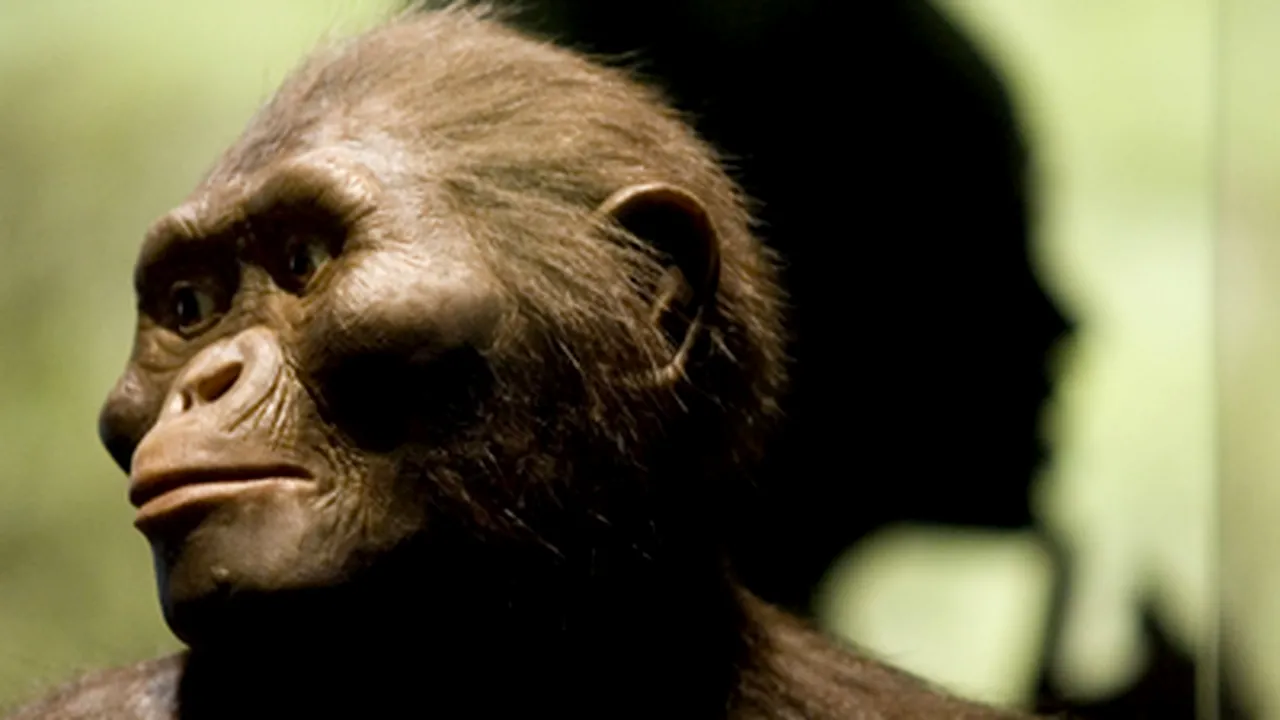 Cele mai vechi fosile de hominid oferă noi detalii despre originile omului