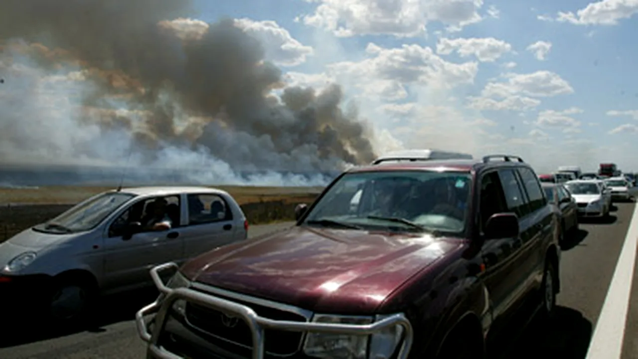 Incendiu de vegetaţie în apropierea Autostrăzii Bucureşti - Piteşti
