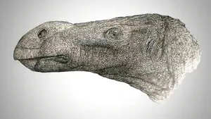 A fost descoperită o nouă specie de dinozaur. Cum a fost numit acesta