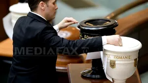 Ambasada germană, despre cazul Şova: Observăm cu îngrijorare evenimentele actuale. Au efecte asupra MCV