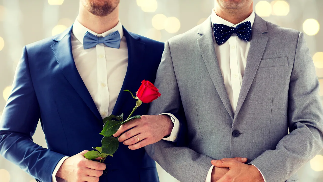 Recunoaşterea familiilor formate din persoane de acelaşi sex, un subiect „în atenţia Guvernului”