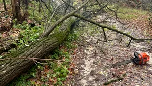 Misiuni pe bandă rulantă în Argeș. Mai multe clădiri, inclusiv din Pitești, s-au inundat, câțiva copaci au căzut peste drumuri