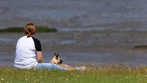 METEO Temperaturi mai ridicate decât cele normale săptămâna viitoare. Cum va fi vremea până pe 15 martie