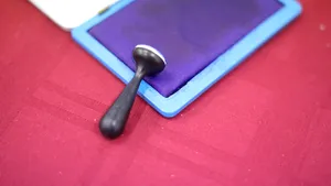 Caraş-Severin: Fraudă electorală şi sancţiuni în cadrul alegerilor parlamentare