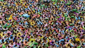 MEDIAFAX ZOOM: Vara 2013 - GALERIE FOTO