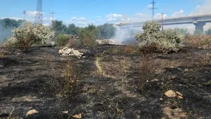 Incendiu puternic de vegetație în Vrancea. Flăcările au cuprins aproximativ 10 hectare, iar pompierii intervin cu mai multe autospeciale