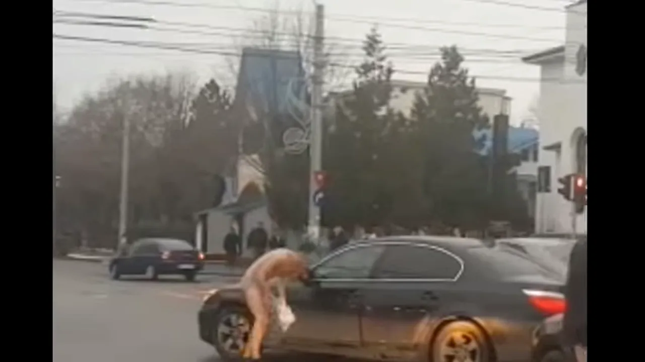 FARSĂ în trafic: Doi tineri din Ploieşti, amendaţi după ce s-au dezbrăcat în glumă pe stradă | VIDEO