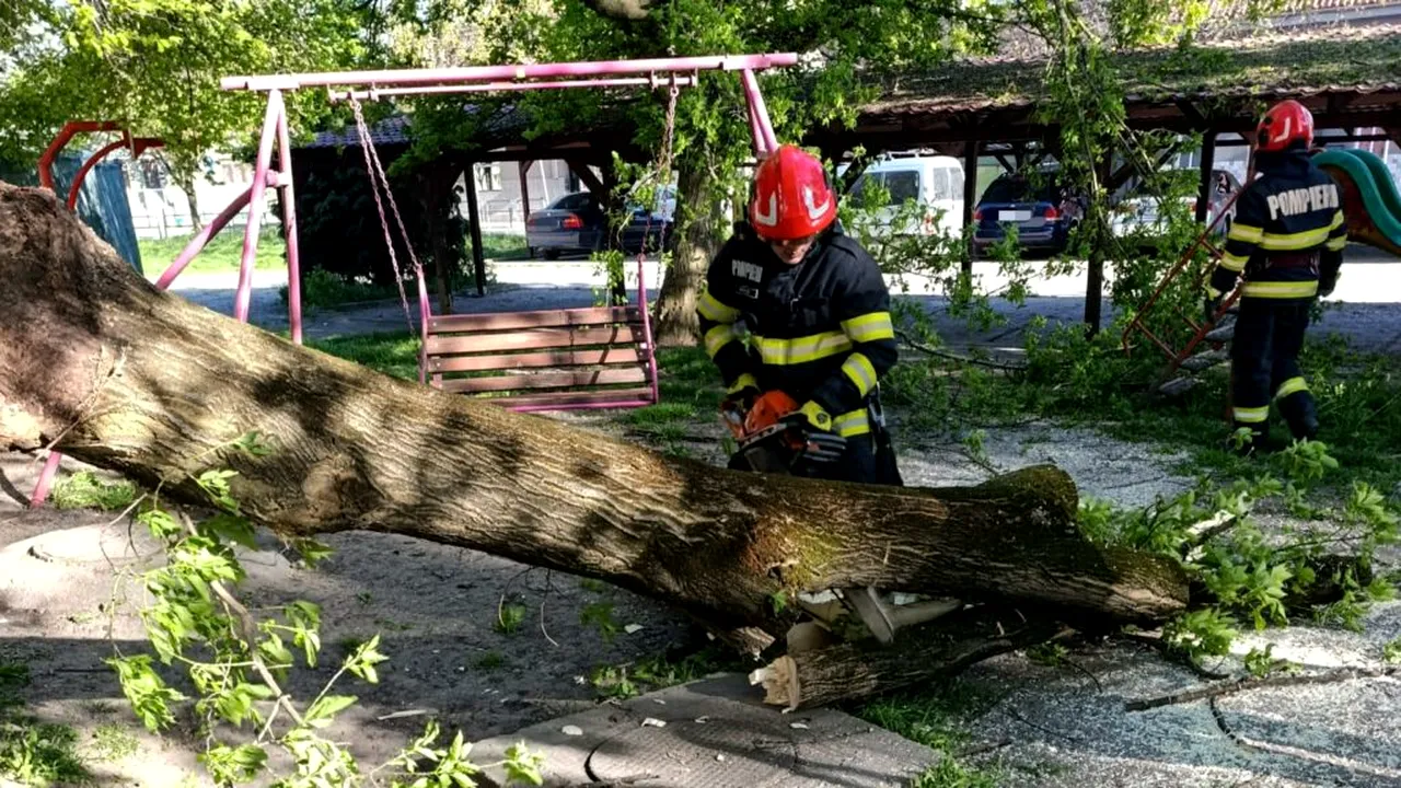 IGSU: Un mort și trei răniți. Vântul puternic de duminică a afectat 72 de localități din țară