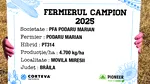 PT315 și PT314- Hibrizi campioni de rapiță în județul Brăila