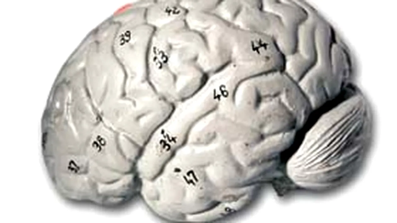 Nivelul de acizi graşi din creier, asociat cu dezvoltarea maladiei Alzheimer