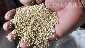 Băsescu respinge o lege care desfiinţează inspectoratele teritoriale pentru calitatea seminţelor