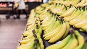 Cu toții aruncăm cea mai sănătoasă parte a unei banane, deși este o adevărată comoară pentru sănătate