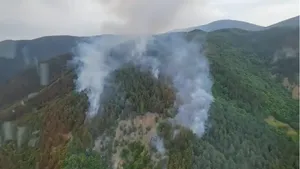 Incendiu de vegetaţie. Intervenţia pompierilor în Parcul Naţional Porţile de Fier, reluată sâmbătă dimineaţa