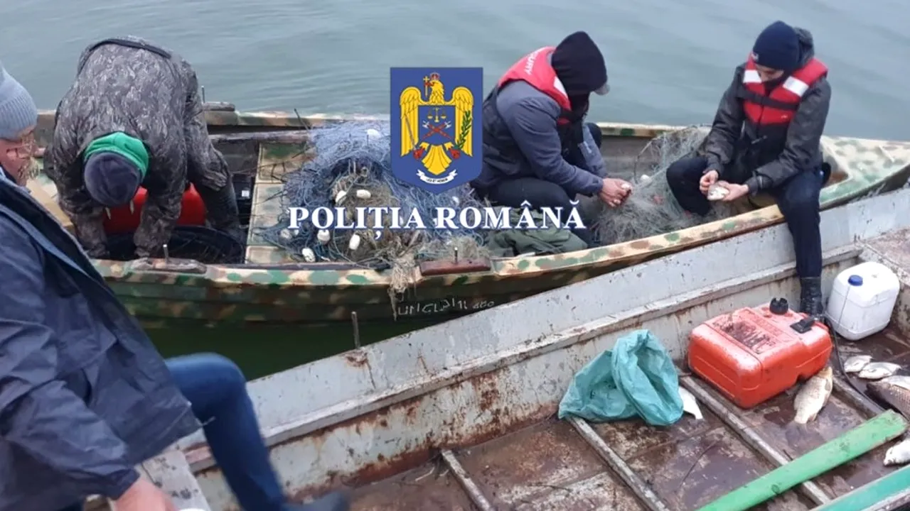 Verificări pe Dunăre: marinari băuţi sau absenţi de la bord, scrumbie pescuită ilegal