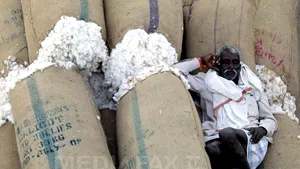 Preţul mondial al bumbacului a sărit în aer. Ce efecte produce nedorita creştere 