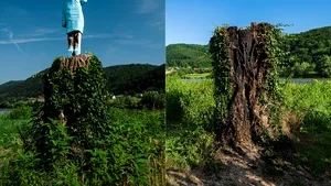 Sculptura în lemn a Melaniei Trump din Slovenia, arsă de Ziua Independenţei Statelor Unite