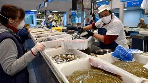 Al doilea val dramatic pentru spanioli: şomajul a atins cote istorice în martie. Câţi şi-au pierdut locurile de muncă din cauza coronavirusului