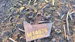 Noi fragmente de dronă au fost găsite în Republica Moldova. Ambasadorul rus, convocat la MAE de la Chişinău